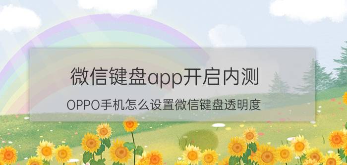 微信键盘app开启内测 OPPO手机怎么设置微信键盘透明度？